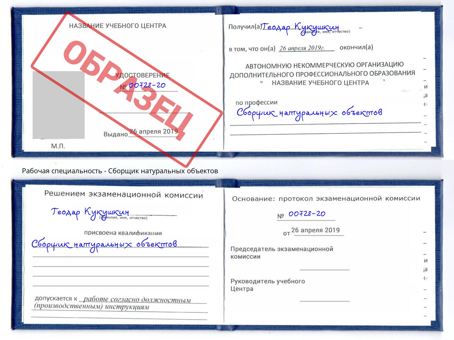 Сборщик натуральных объектов Чистополь