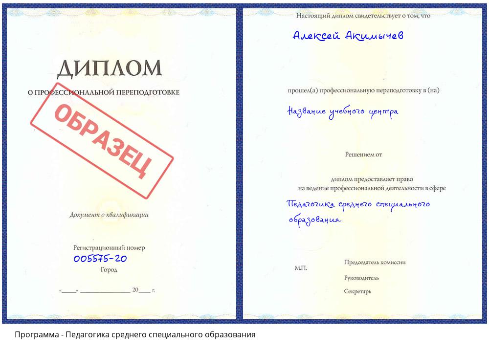 Педагогика среднего специального образования Чистополь