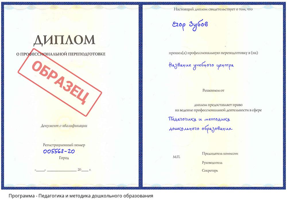 Педагогика и методика дошкольного образования Чистополь