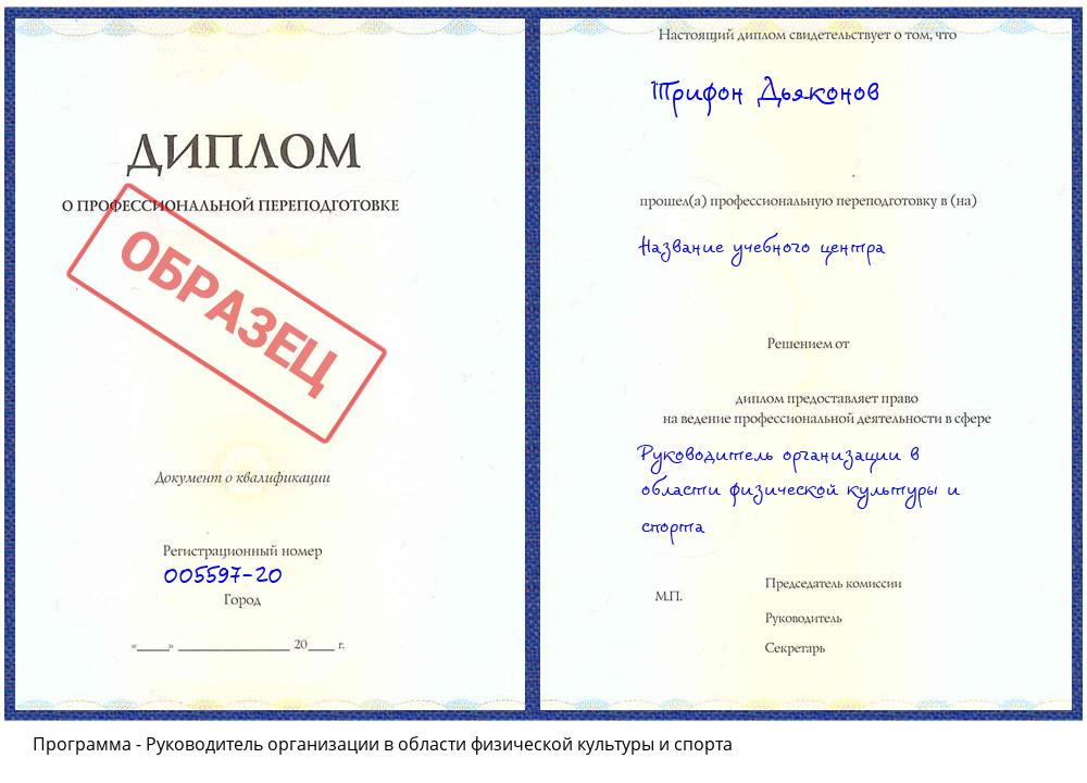 Руководитель организации в области физической культуры и спорта Чистополь