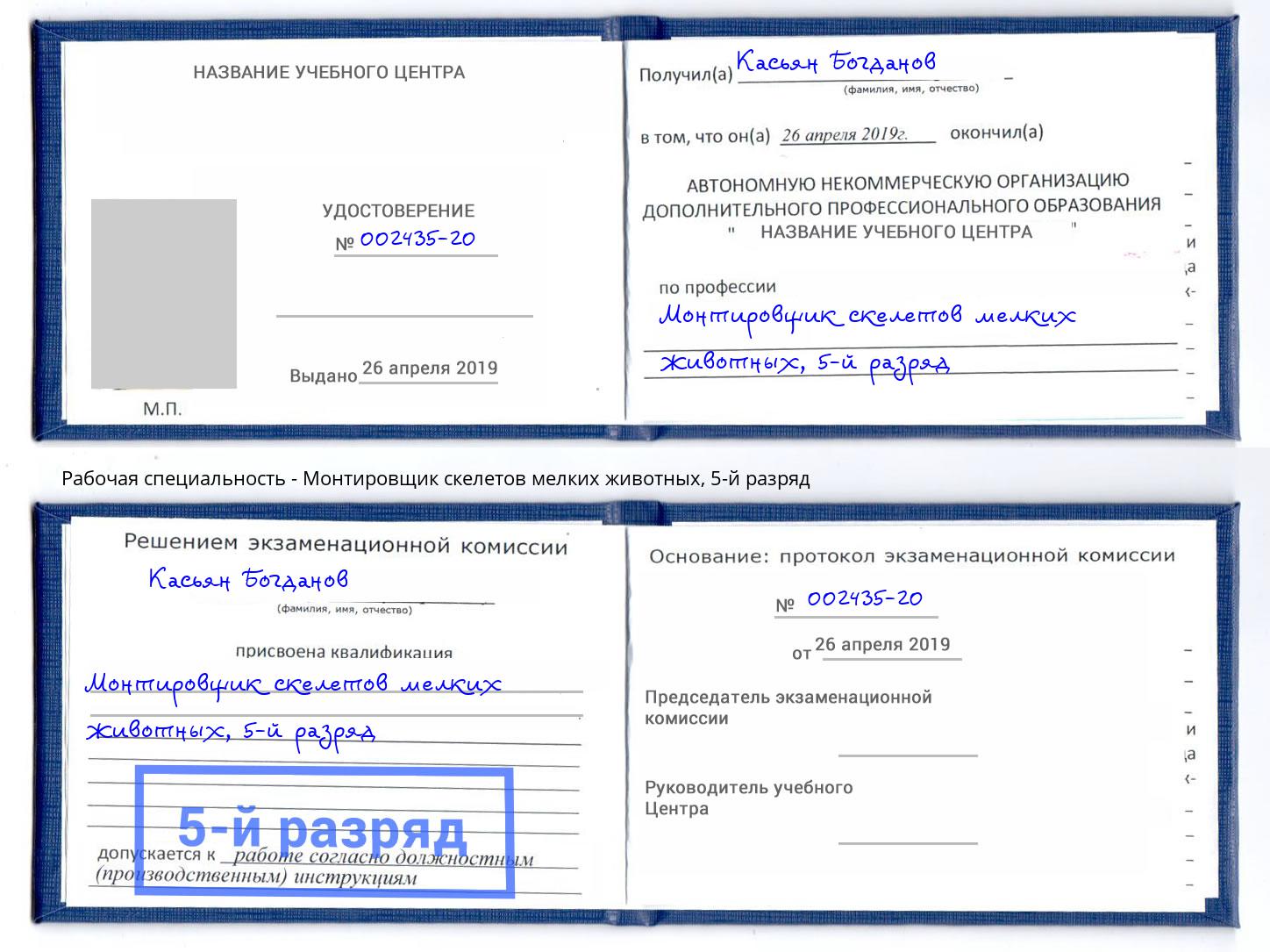 корочка 5-й разряд Монтировщик скелетов мелких животных Чистополь