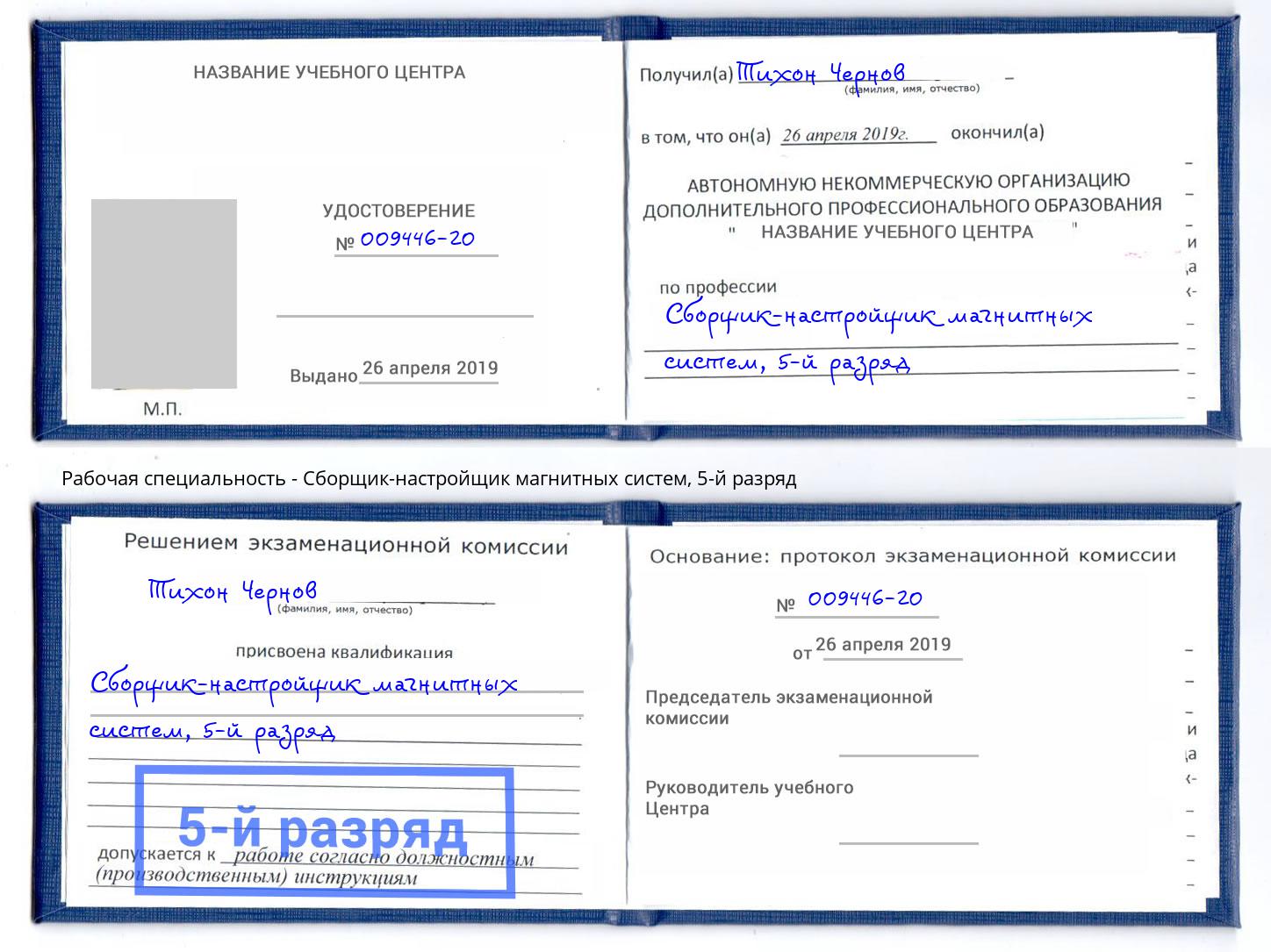 корочка 5-й разряд Сборщик-настройщик магнитных систем Чистополь